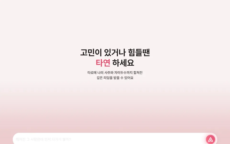 타연 첫 화면